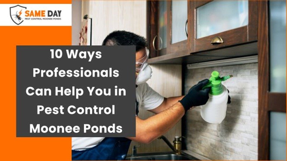 How Can Professional Pest Control Help You?